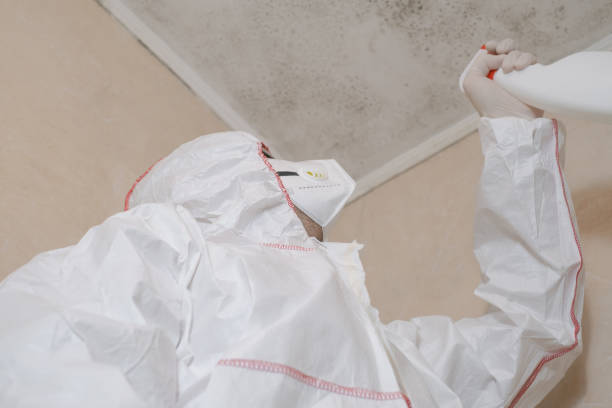 Best Commercial Mold Removal  in Ilchester, MD